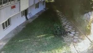 Hırsızlık için eve giren şüpheli tutuklandı - Videolu Haber