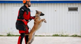 İHH’nın arama kurtarma köpekleri 50 kişinin kurtulmasına vesile oldu - Videolu Haber