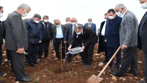 İKA destekli Model Bahçe’de badem fidanları toprakla buluşturuldu