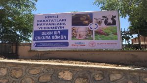 İl Sağlık Müdürü Öz'den, kurban keseceklere 'parazit' uyarısı