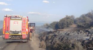İzmir itfaiyesi Dikili'de orman yangınına müdahale ediyor