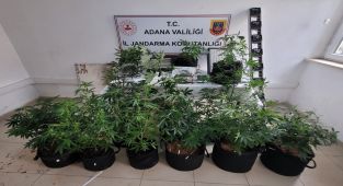 Jandarma ekiplerinden uyuşturucu yetiştiricilerine operasyon