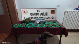 Jandarma ekiplerinden uyuşturucuya geçit yok