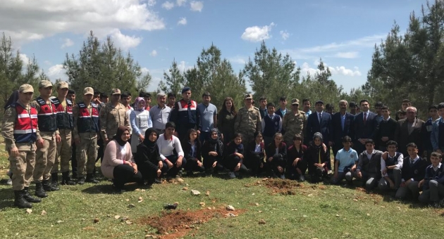 Jandarma, Kuruluş Yıl Dönümünde Bin Fidan Dikti