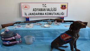 Jandarmadan asayiş operasyonu: 76 gözaltı, 6 tutuklu