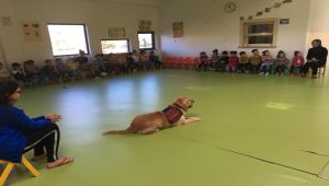 Jandarmadan Çocuklara Trafik Eğitimi