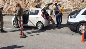 Jandarmadan narkotik ve huzur uygulaması