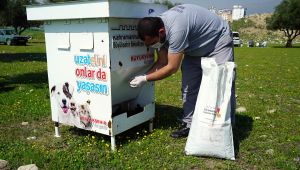 Kahramanmaraş Büyükşehir Belediyesi Sokak Hayvanlarını Unutmadı