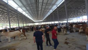 Kahta Belediyesi bayram hazırlıklarını tamamladı