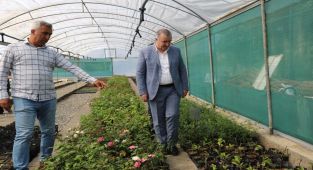 Kahta Belediyesi sera kurdu