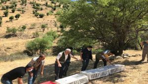Kahta’da bin kınalı keklik doğaya bırakıldı - Videolu Haber