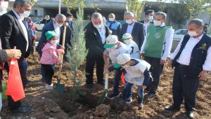 Kahta’da ‘Bugün Fidan, Yarın Nefes’ kampanyası - Videolu Haber