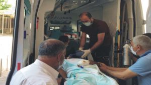 Kahta’da engerek yılanı ısıran kişi, komalık oldu