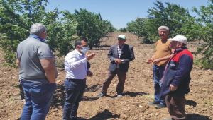 Kahta’da fırtınadan etkilenen çiftçiler destek bekliyor