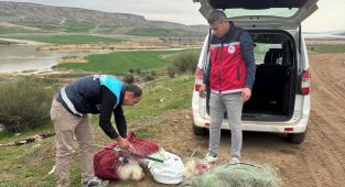 Kahta'da kaçak avcılara geçit verilmiyor