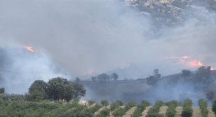 Kahta’da tarlada korkutan yangın