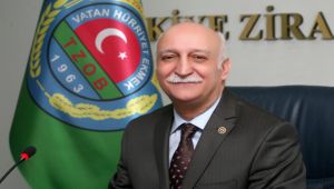 Kalabalık şehirlerden kırsala göç başladı