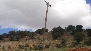 Kaliteli enerji için dağlar aşıldı, 5 bin 620 km’lik güzergah değiştirildi