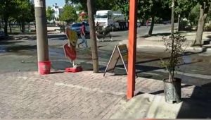 Kamyonetten atlayan kurbanlık boğa zor anlar yaşattı - Videolu Haber