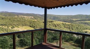 Kartal yuvasında tatil keyfi - Videolu Haber