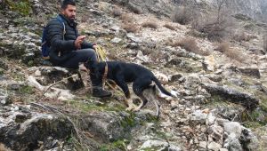 Kayalıklarda mahsur kalan köpek köylüler tarafından kurtarıldı - Videolu Haber