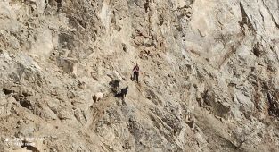 Keçiler 5 saatlik çalışmayla kurtarıldı - Videolu Haber