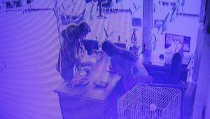 Kendisini 'Öğretmen' Olarak Tanıtıp Esnafı Dolandırdı - Videolu Haber