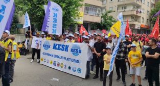 KESK ‘Batman Bölge Mitingi’ne katıldı