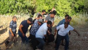 Kestiği ağacın altında kalan çiftçi öldü