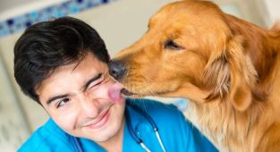 Köpeklerde mantar hastalığı insanlara bulaşabilir mi?