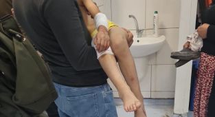 Köpeklerin saldırına uğrayan çocuk yaralandı