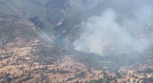 Köşeye sıkışan PKK'lı teröristler ormanları yakmaya başladı - Videolu Haber