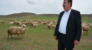Küçükbaş hayvan sayısında artış: TÜDKİYEB Başkanı Çelik’ten açıklama