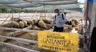 Kurban kesim noktaları ilaçlanarak vektörlere karşı kontrol altına alındı