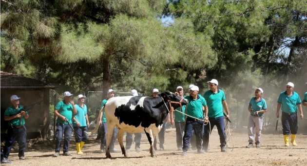 Kurban Yakalama Timi Tatbikat Yaptı