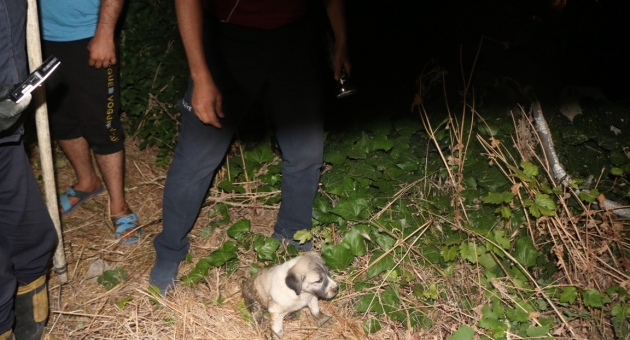 Kuyuya Düşen Köpeği İtfaiye Kurtardı