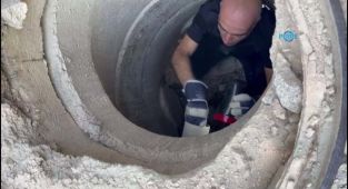 Lağım borusuna sıkışan kedi kurtarıldı - Videolu Haber