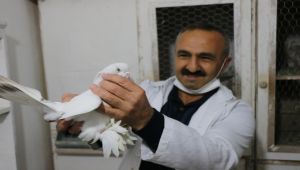 Lüks otomobil fiyatındaki güvercinlerini satmaya kıyamıyor - Videolu Haber