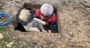 Malatya'da boş kuyuya düşen yavru köpek kurtarıldı - Videolu Haber