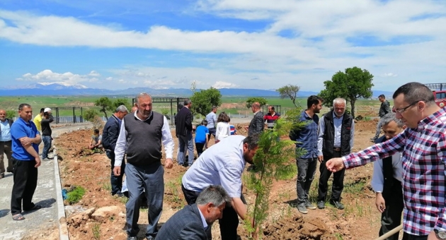 Mesire Alanında 800 Ağaç Toprakla Buluşturuldu