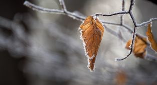 Meteorolojiden kuvvetli kar yağışı uyarısı