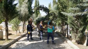 Mezarlıklarda Ramazan ayı bakımı
