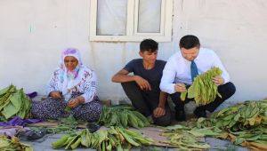 Milletvekili Toprak: Çiftçilerimize Bolluk ve Bereket Diliyorum