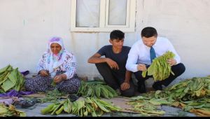 Milletvekili Toprak'tan Dünya Çiftçiler Günü Mesajı