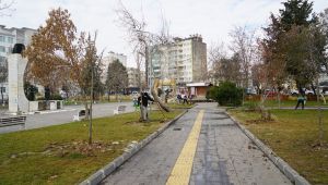Mimar Sinan Parkı’nda ağaçlandırma çalışması