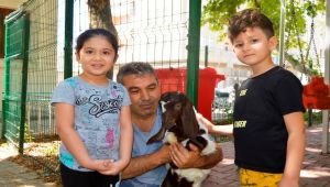 Muhtarlığın bahçesi çocukların terapi merkezi oldu - Videolu Haber