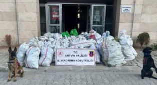 NARKOÇELİK-36 operasyonu: 502 kilogram esrar ele geçirildi - Videolu Haber