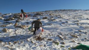 Nemrut Dağı eteklerindeki yaban hayvanları unutulmadı
