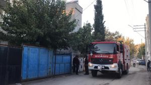 Odunlukta çıkan yangın paniğe neden oldu - Videolu Haber