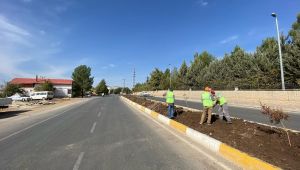 Organize sanayi caddesi’nde ağaçlandırma çalışması